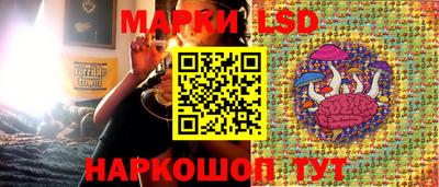 ГАЛЛЮЦИНОГЕННЫЕ ГРИБЫ Будённовск