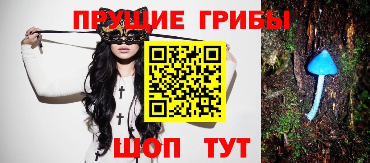 Галлюциногенные грибы GOLDEN TEACHER Мценск
